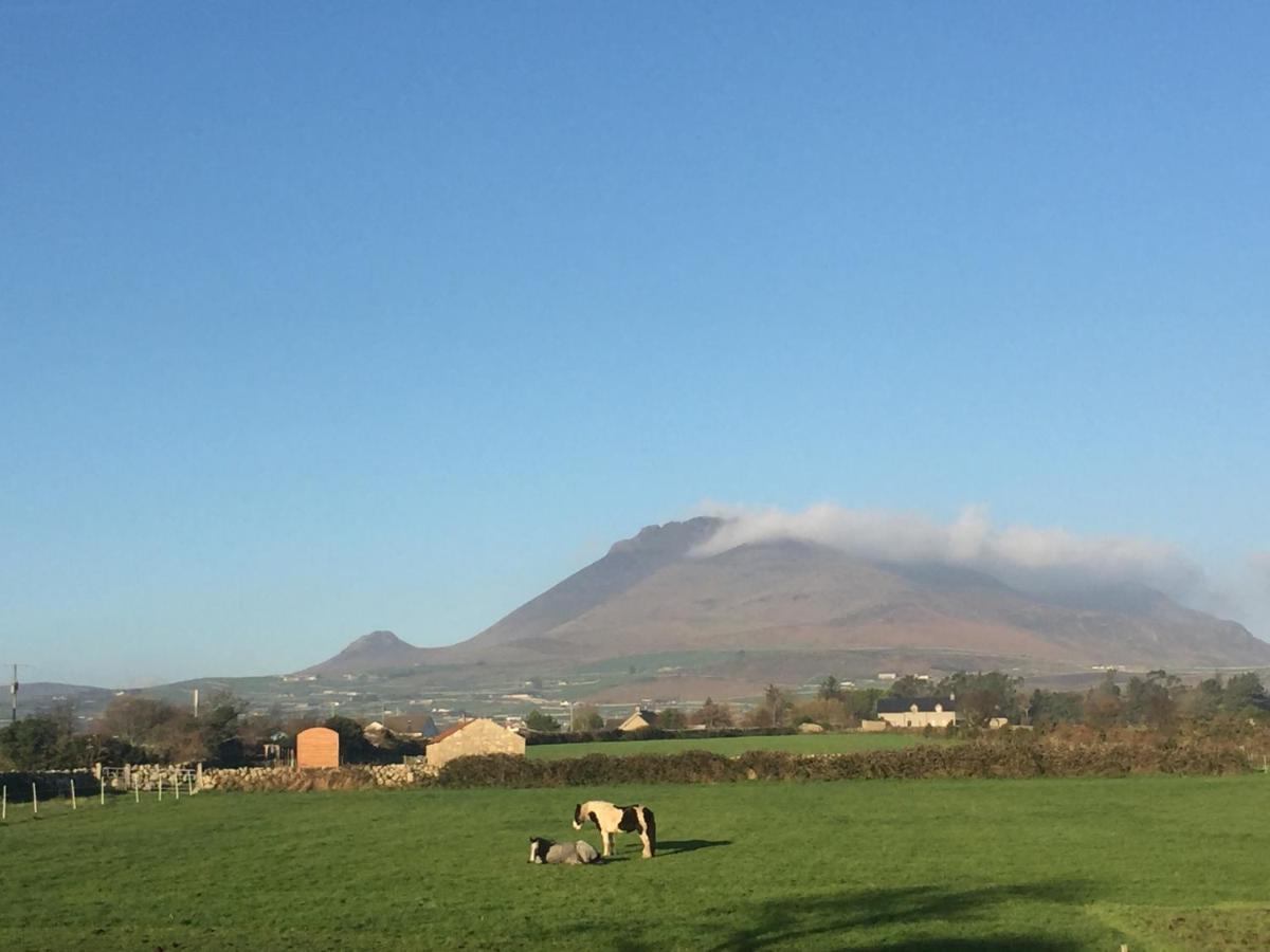 Willowtree Glamping Mournes Villa Annalong Exterior photo